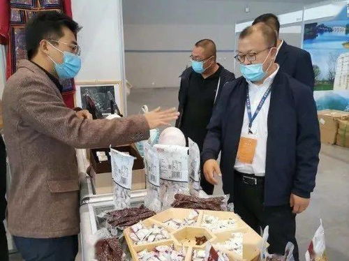 乌海文创商品亮相2020重庆国际文化旅游产业博览会，展现塞北魅力